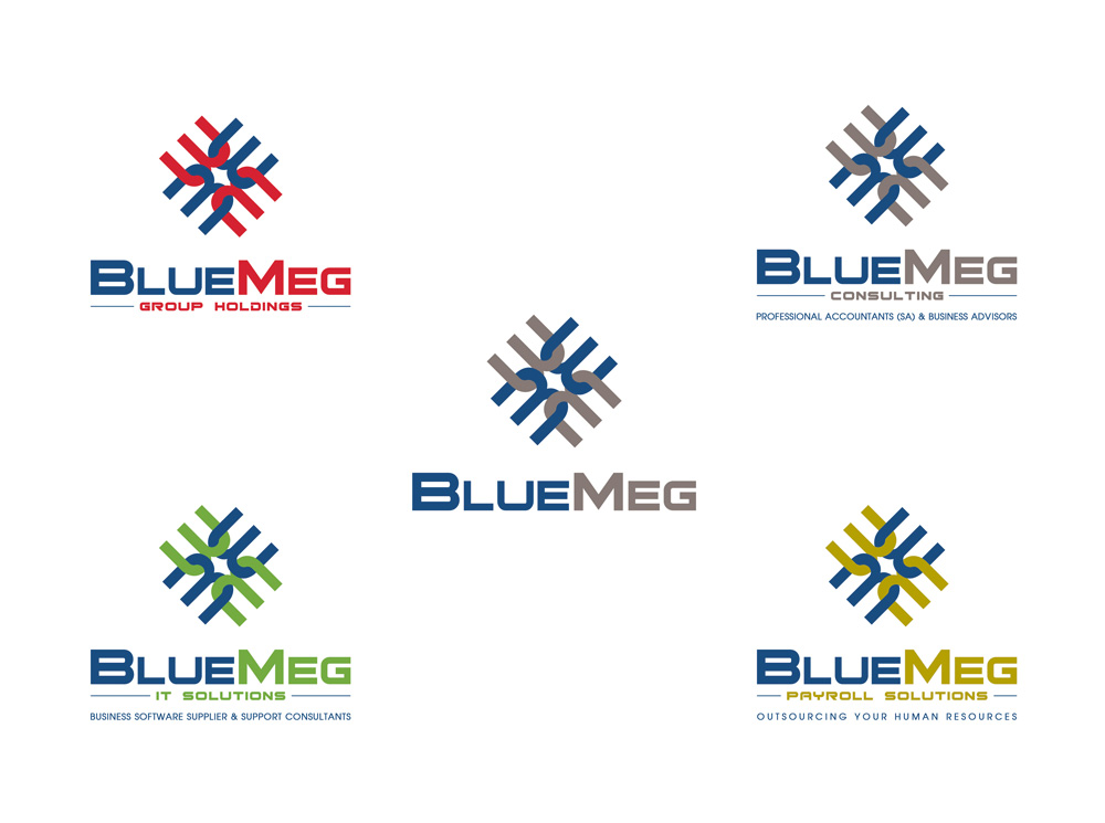 BlueMeg group company logos