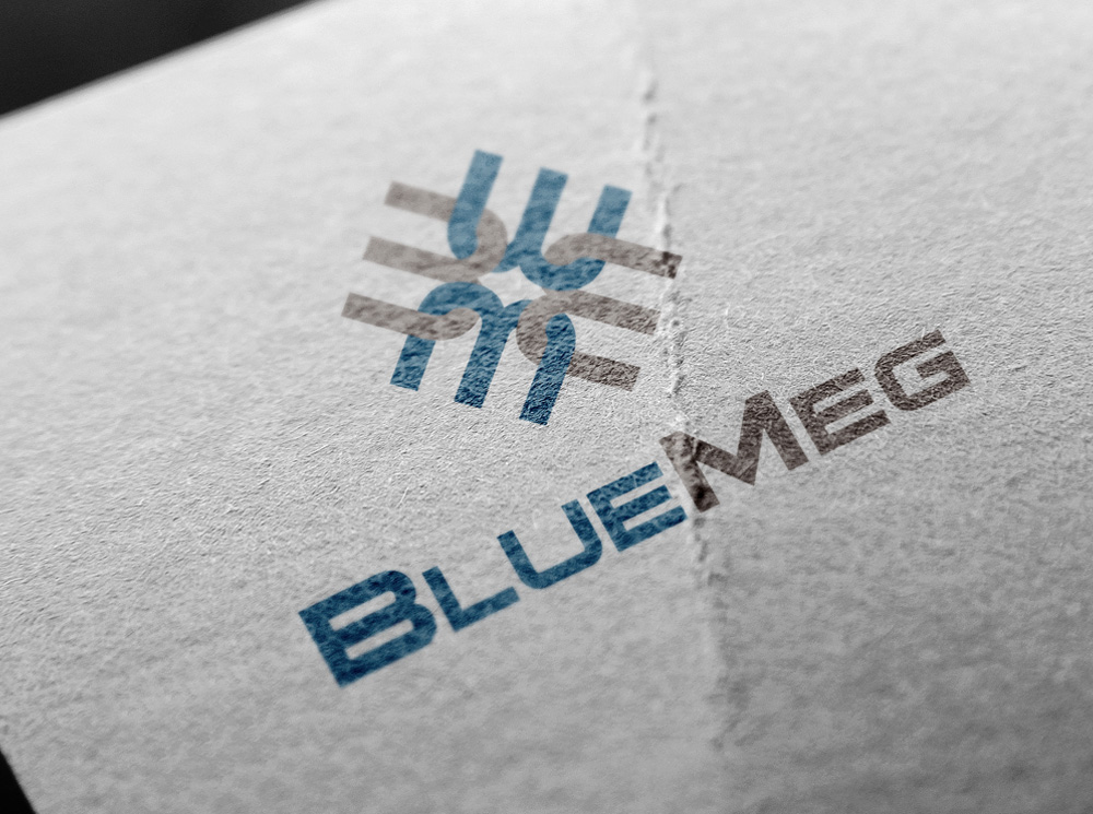 BlueMeg logo mockup