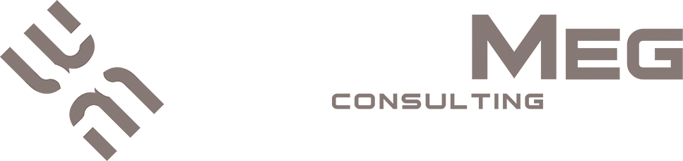 BlueMeg logo
