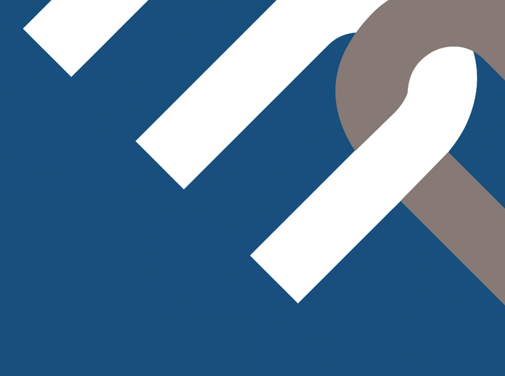 BlueMeg logo icon