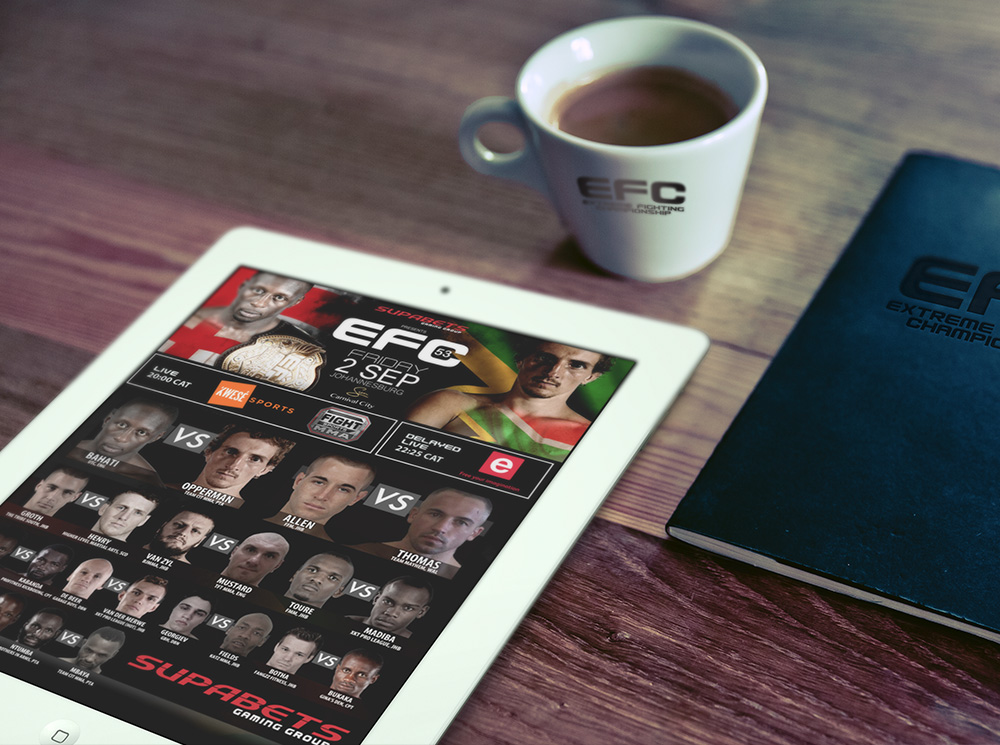 EFC electronic mailer design