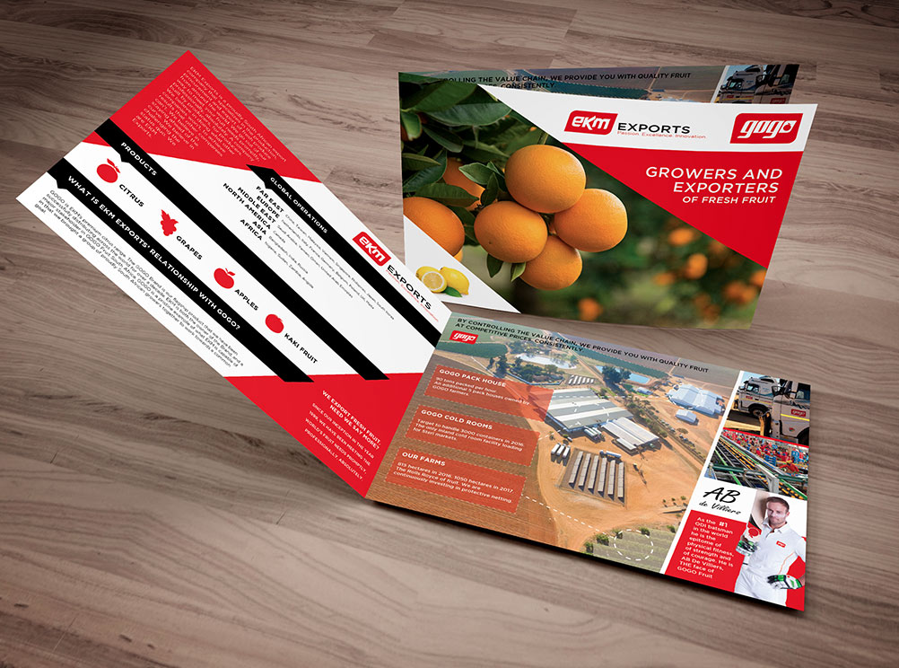 EKM Exports brochure for Logistica Expo