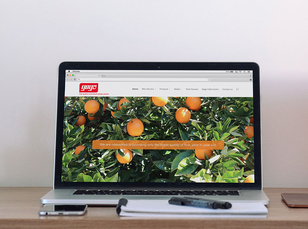 GOGO Fruit website design