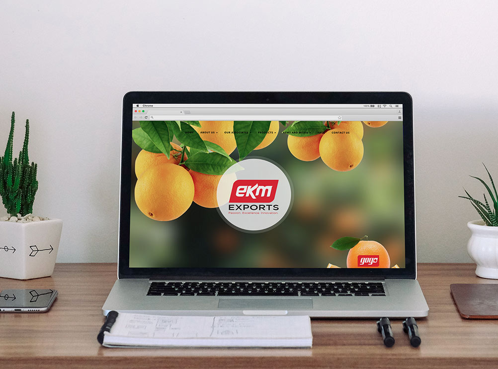 EKM Exports website design