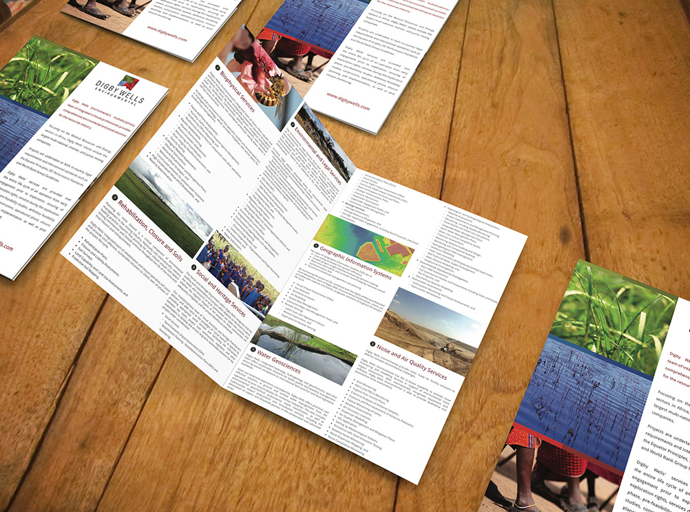 Digby Wells brochure design