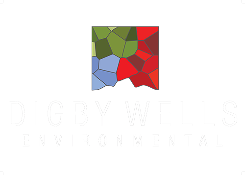 Digby Wells logo