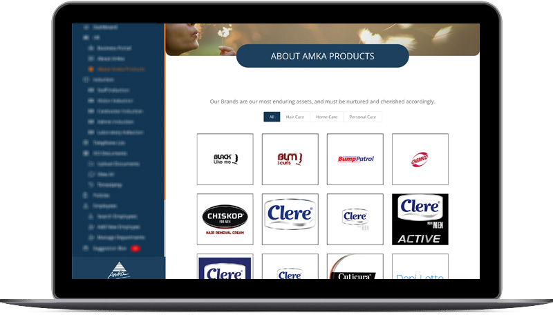 Amka Products company intranet, developed by Druff Agency