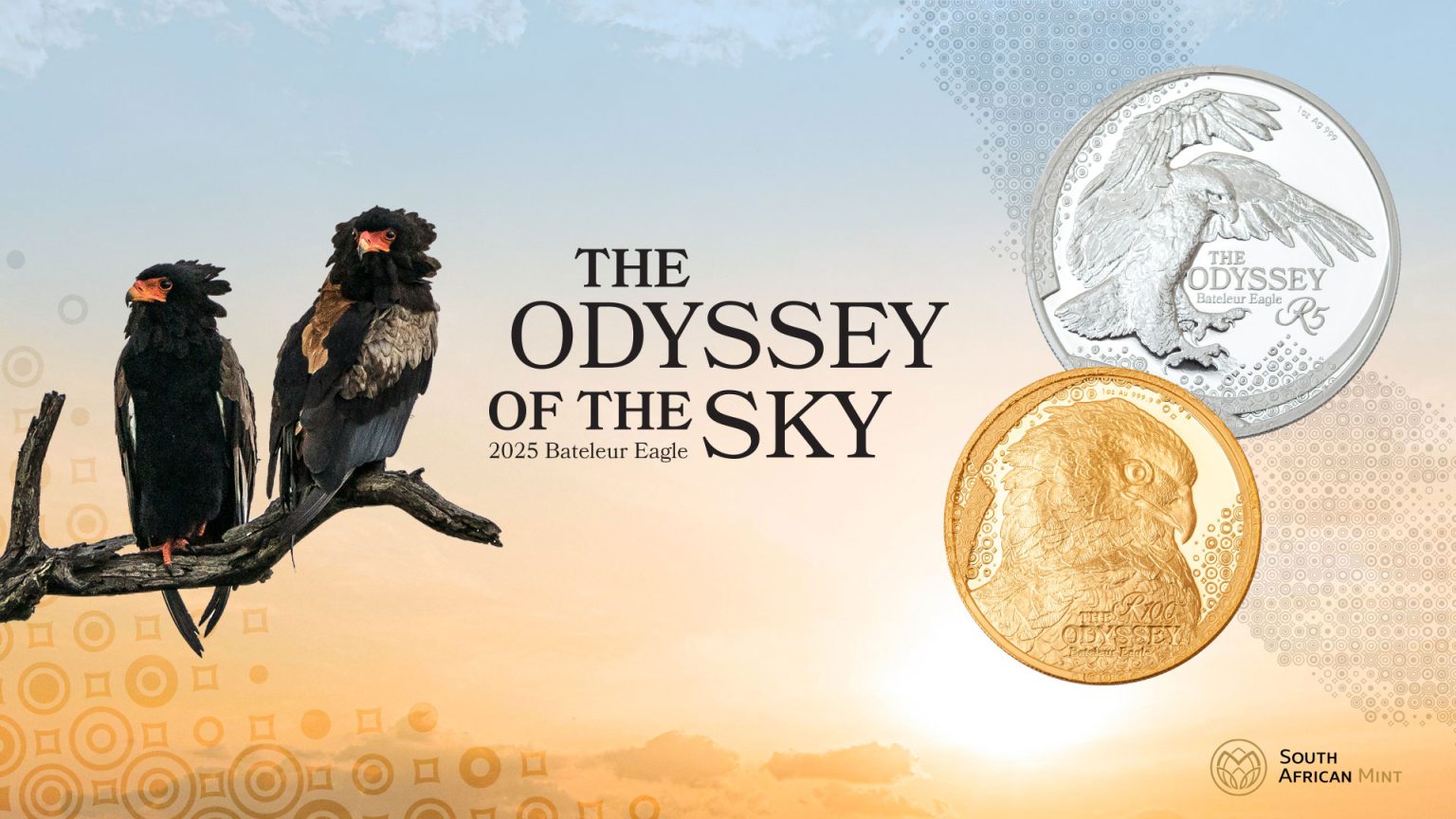 Odyssey of the Sky key visual for the South African Mint, by Druff Agency Pretoria