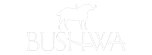 Bushwa logo