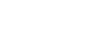 Zyn logo