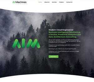 Druff Website Design Portfolio AI Machines